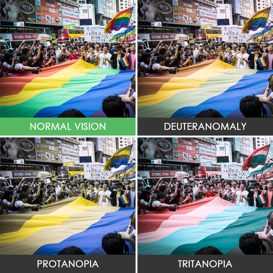 You’ll Be Amazed How People With Color Blindness See The World (57 Pics) You’ll Be Amazed How People With Color Blindness See The World (57 Pics)