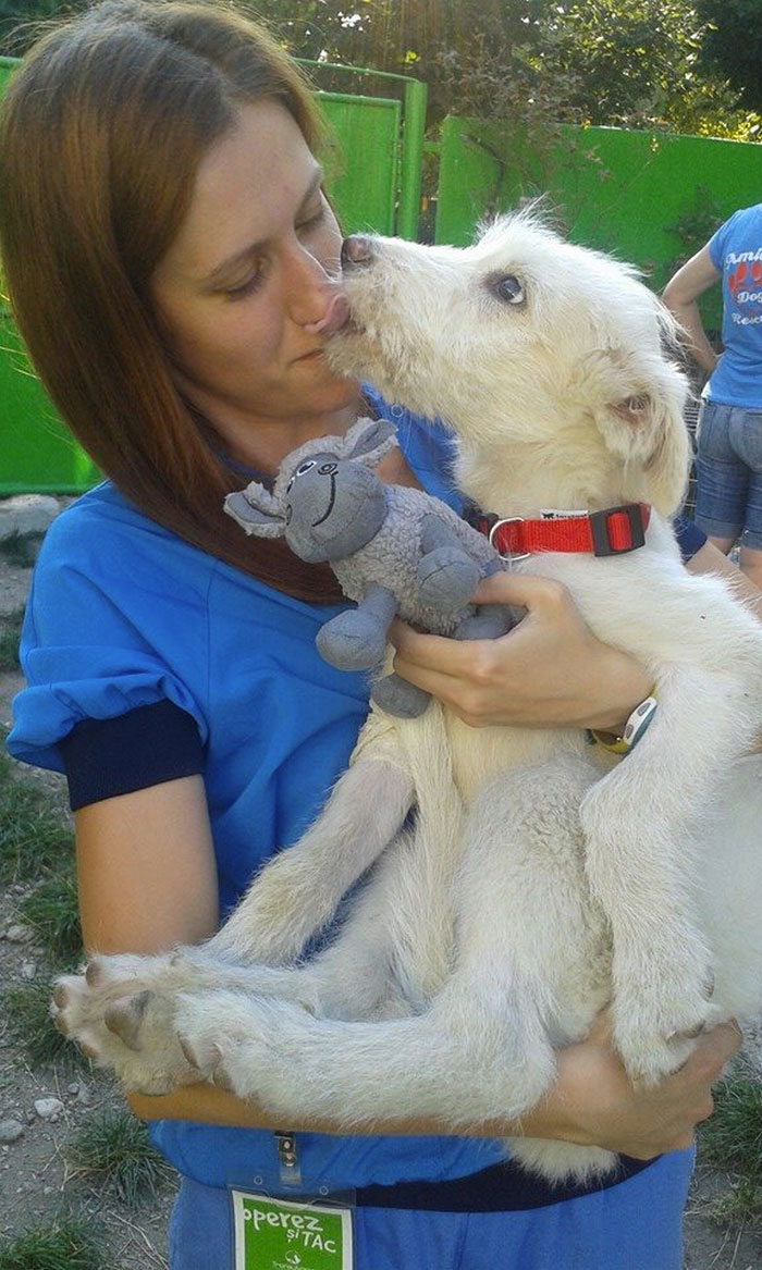 Puppy Found Tied In A Plastic Bag Was Going To Die, Until These People Stepped In
