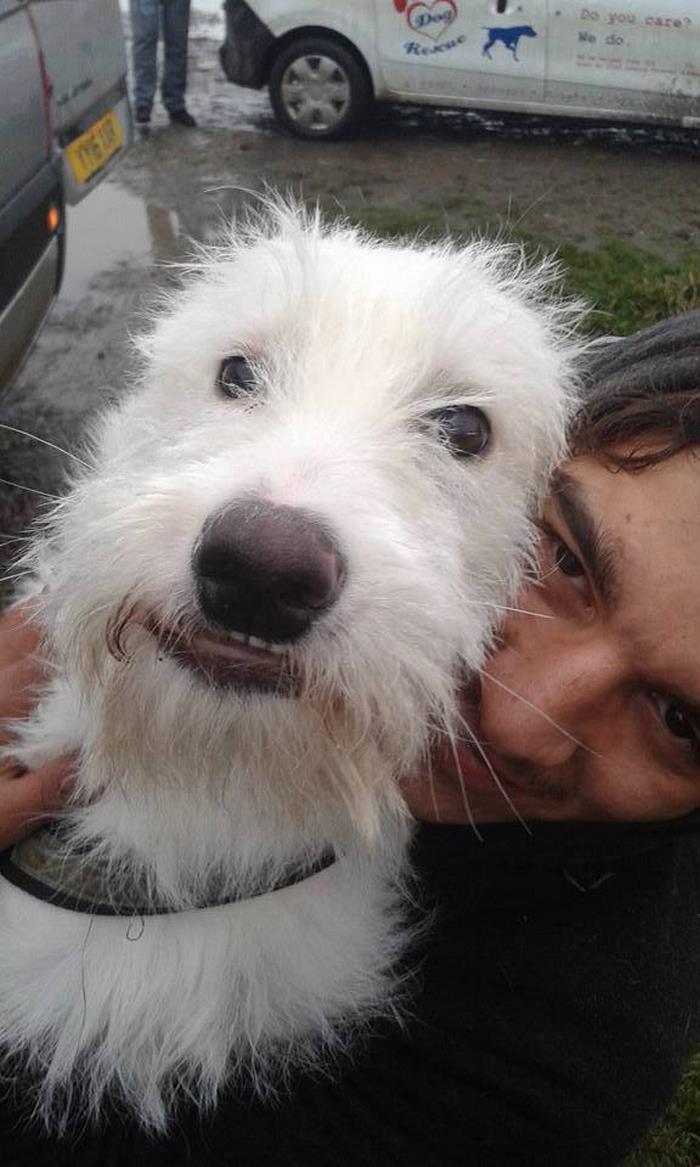 Puppy Found Tied In A Plastic Bag Was Going To Die, Until These People Stepped In