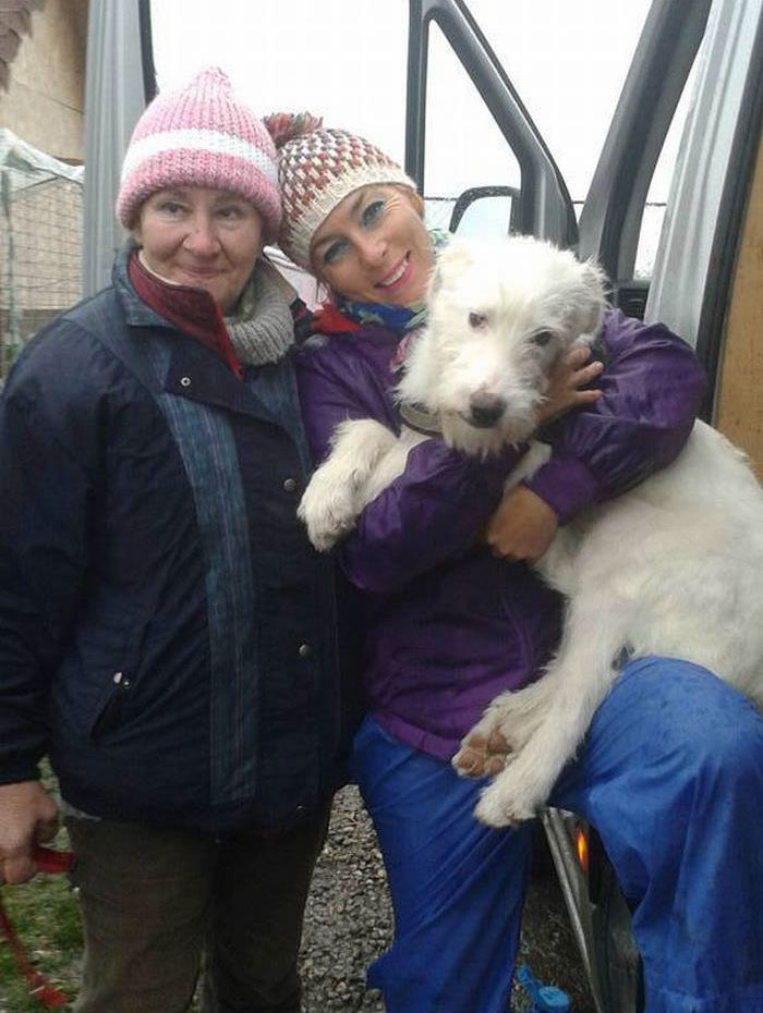 Puppy Found Tied In A Plastic Bag Was Going To Die, Until These People Stepped In