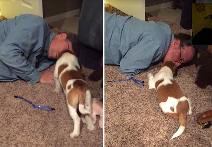 50 Dads Who Didn’t Want The Damn Dogs In Their Lives 50 Dads Who Didn’t Want The Damn Dogs In Their Lives