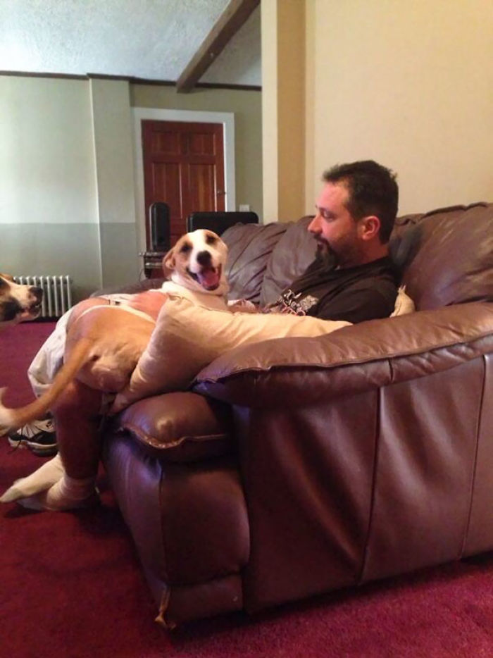 50 Dads Who Didn’t Want The Damn Dogs In Their Lives 50 Dads Who Didn’t Want The Damn Dogs In Their Lives