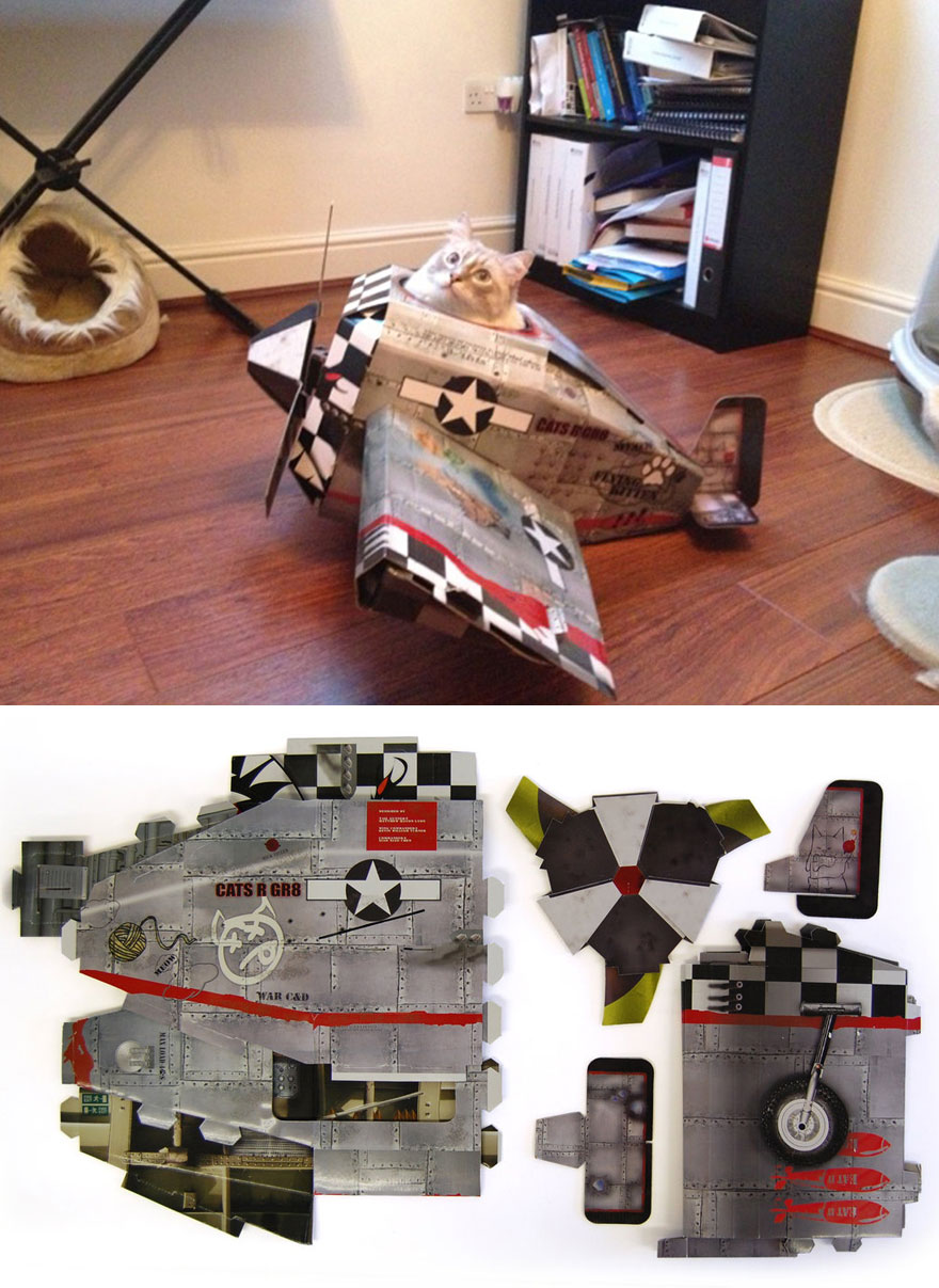 This Company Makes Cardboard Tanks, Planes And Houses For Cats, And Your Master Needs Them Right Meow! This Company Makes Cardboard Tanks, Planes And Houses For Cats, And Your Master Needs Them Right Meow!