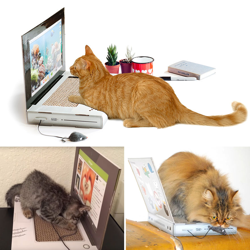 This Company Makes Cardboard Tanks, Planes And Houses For Cats, And Your Master Needs Them Right Meow! This Company Makes Cardboard Tanks, Planes And Houses For Cats, And Your Master Needs Them Right Meow!