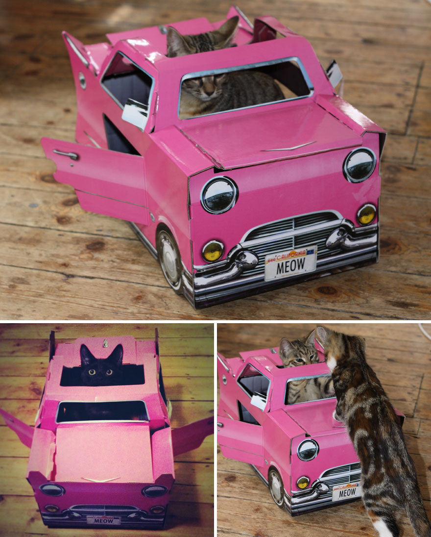 This Company Makes Cardboard Tanks, Planes And Houses For Cats, And Your Master Needs Them Right Meow! This Company Makes Cardboard Tanks, Planes And Houses For Cats, And Your Master Needs Them Right Meow!