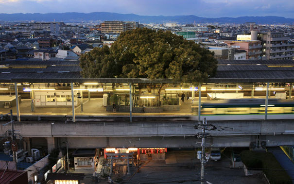 This Japanese Train Station Was Built Around A 700 Year Old Tree, And Here’s Why This Japanese Train Station Was Built Around A 700 Year Old Tree, And Here’s Why