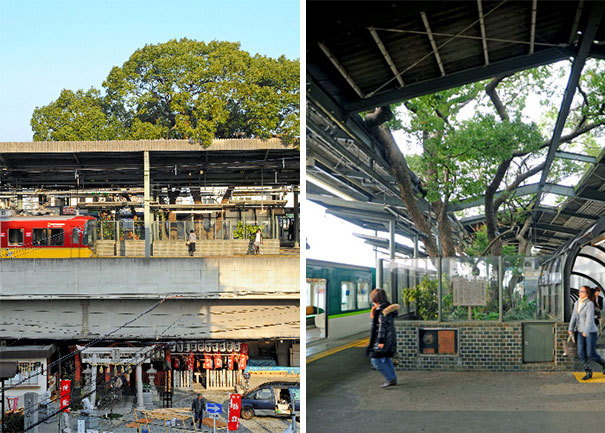 This Japanese Train Station Was Built Around A 700 Year Old Tree, And Here’s Why This Japanese Train Station Was Built Around A 700 Year Old Tree, And Here’s Why