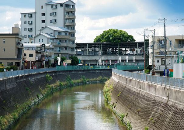 This Japanese Train Station Was Built Around A 700 Year Old Tree, And Here’s Why This Japanese Train Station Was Built Around A 700 Year Old Tree, And Here’s Why