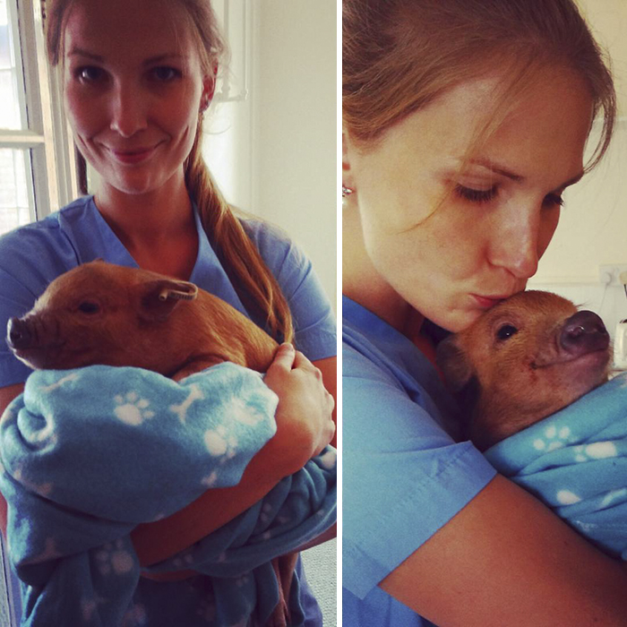 I Help All Creatures Great And Small I Help All Creatures Great And Small