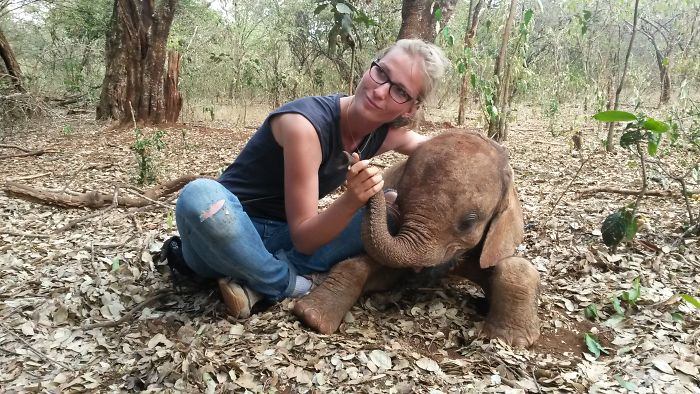 I Help All Creatures Great And Small I Help All Creatures Great And Small