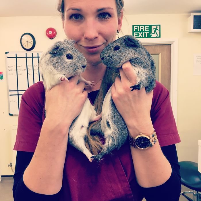 I Help All Creatures Great And Small I Help All Creatures Great And Small