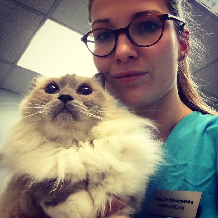 I Help All Creatures Great And Small I Help All Creatures Great And Small