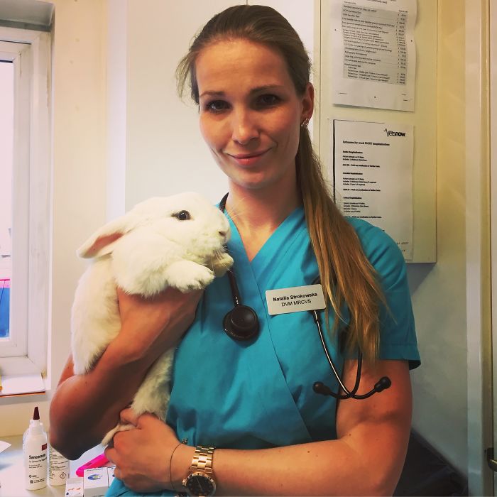 I Help All Creatures Great And Small I Help All Creatures Great And Small