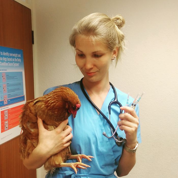 I Help All Creatures Great And Small I Help All Creatures Great And Small