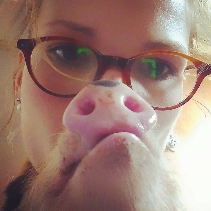 I Help All Creatures Great And Small I Help All Creatures Great And Small