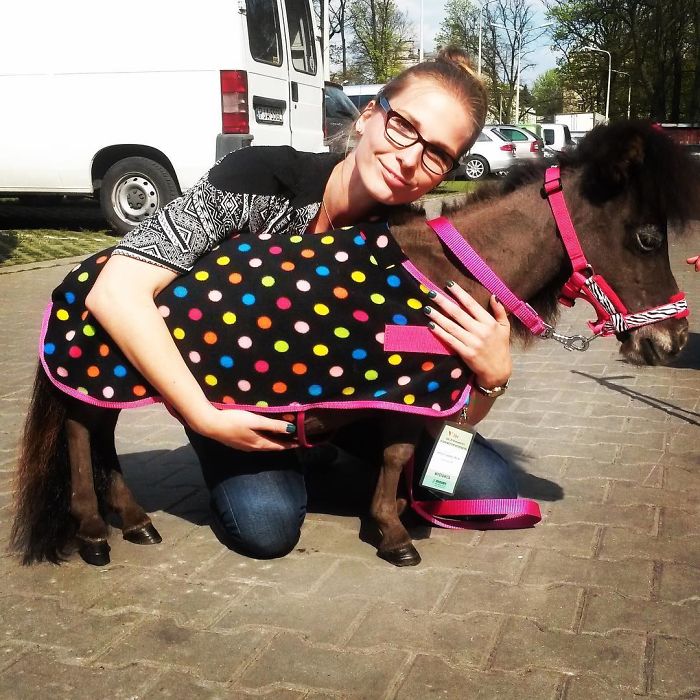 I Help All Creatures Great And Small I Help All Creatures Great And Small