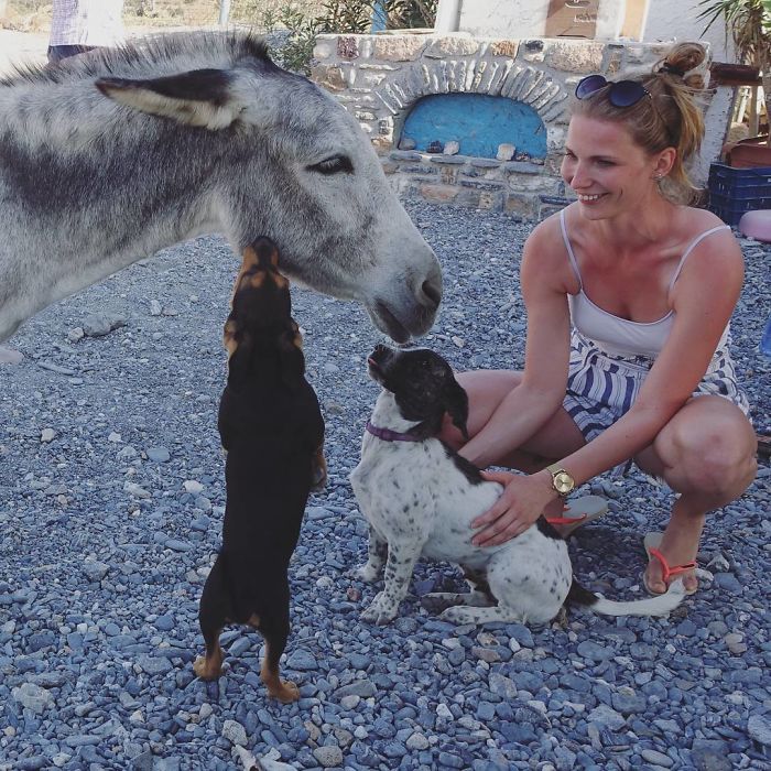 I Help All Creatures Great And Small I Help All Creatures Great And Small