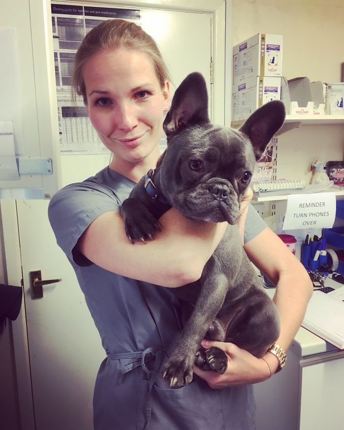 I Help All Creatures Great And Small I Help All Creatures Great And Small