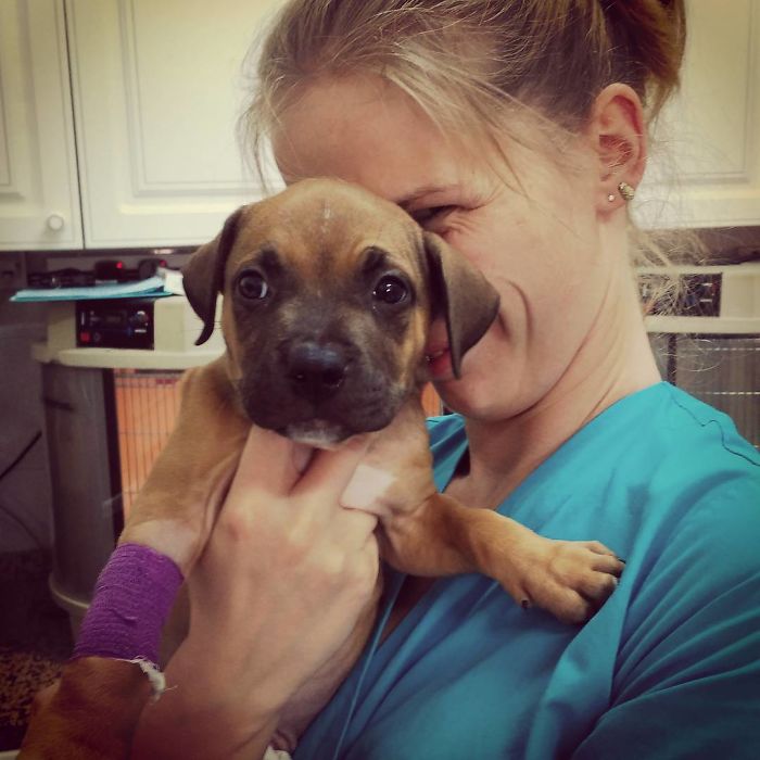 I Help All Creatures Great And Small I Help All Creatures Great And Small