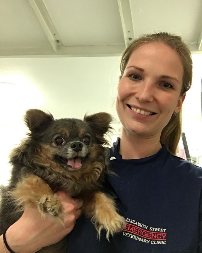 I Help All Creatures Great And Small I Help All Creatures Great And Small