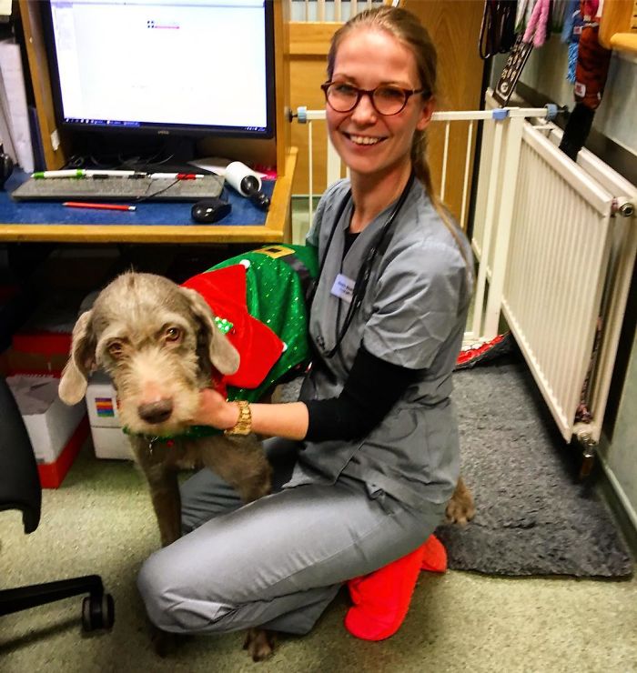 I Help All Creatures Great And Small I Help All Creatures Great And Small