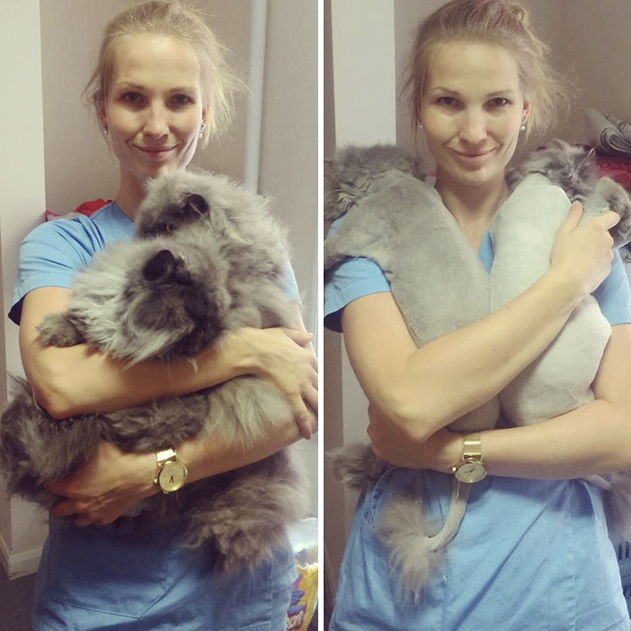 I Help All Creatures Great And Small I Help All Creatures Great And Small