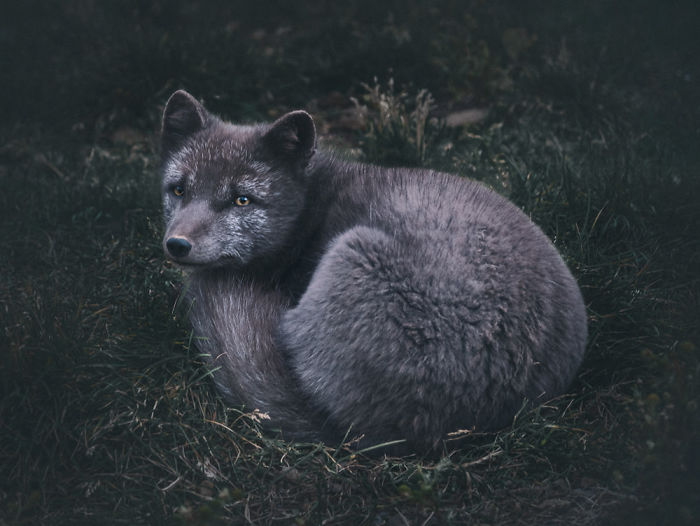 We Packed Our Bags To Visit Iceland And It Turned Out To Be Unbelievable 18-Month Adventure