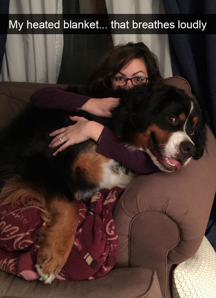 175 Hilarious Animal Snapchats Guaranteed To Make You Laugh Out Loud 175 Hilarious Animal Snapchats Guaranteed To Make You Laugh Out Loud