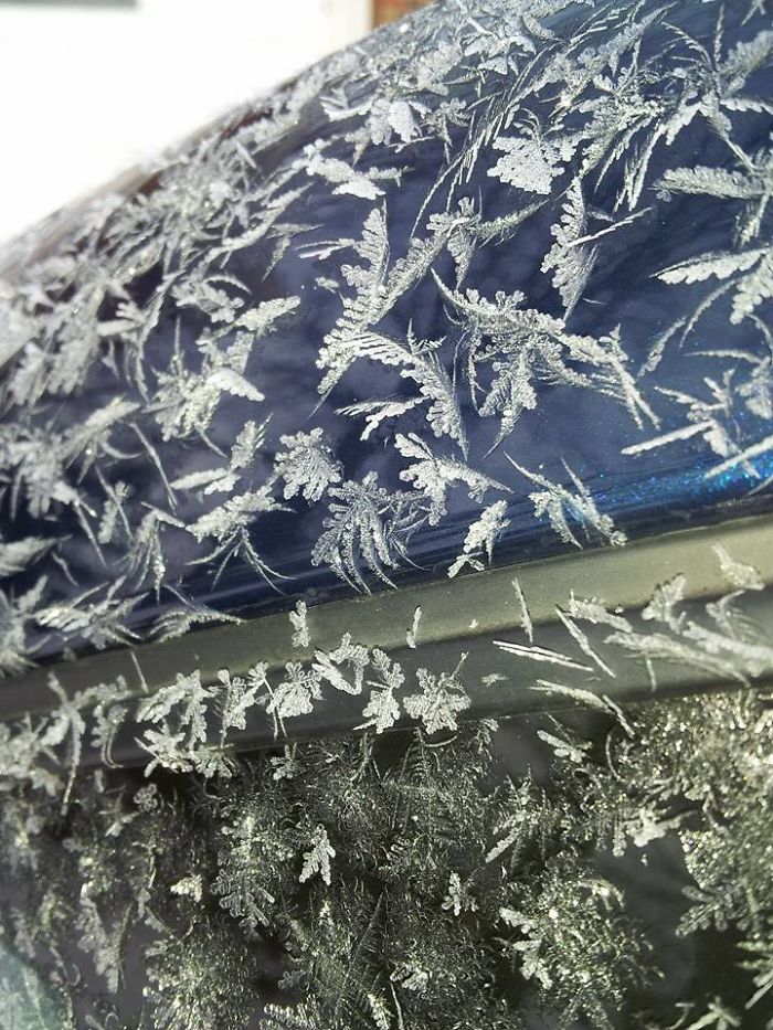 55 Times Winter Turned Cars Into Art 55 Times Winter Turned Cars Into Art