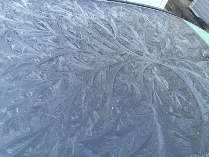 55 Times Winter Turned Cars Into Art 55 Times Winter Turned Cars Into Art