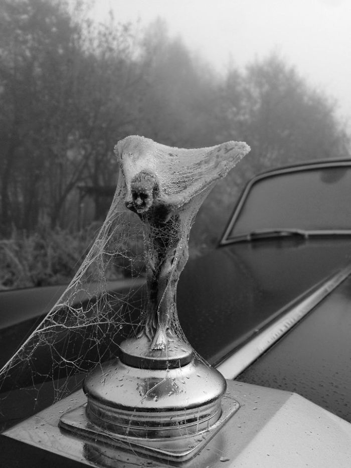 55 Times Winter Turned Cars Into Art 55 Times Winter Turned Cars Into Art