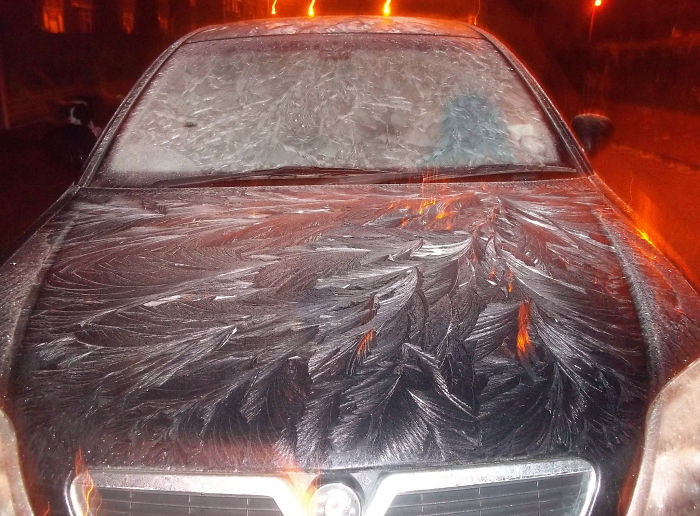 55 Times Winter Turned Cars Into Art 55 Times Winter Turned Cars Into Art