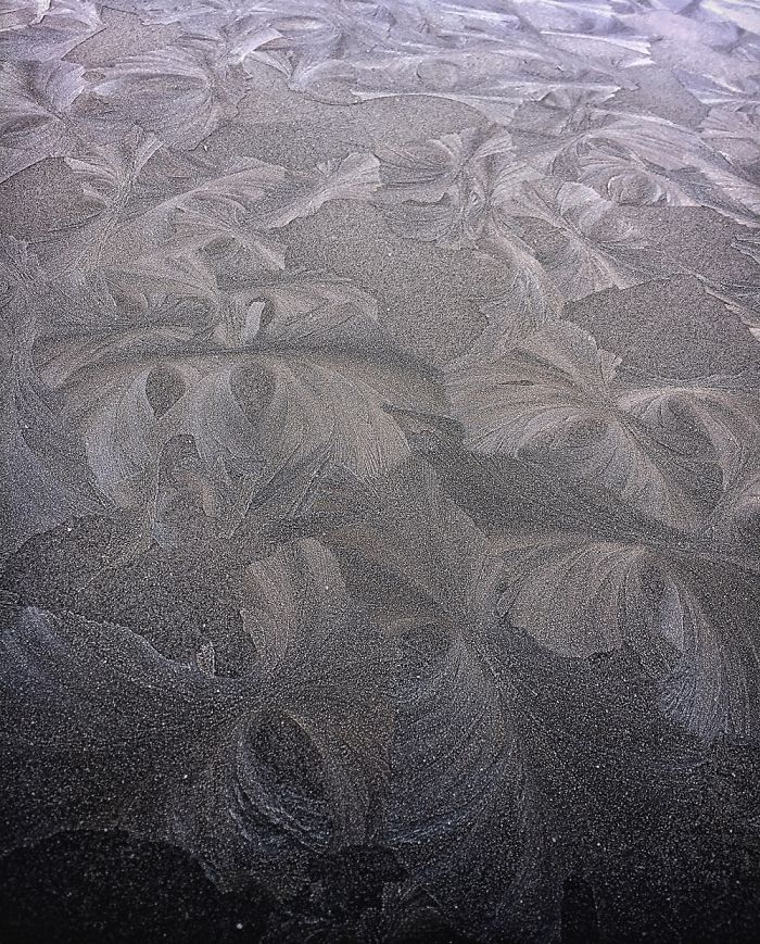 55 Times Winter Turned Cars Into Art