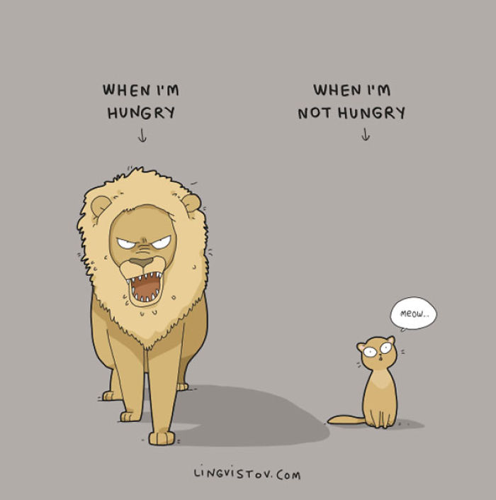 123 Fun Animal Comics By Russian Artist Duo Lingvistov 123 Fun Animal Comics By Russian Artist Duo Lingvistov