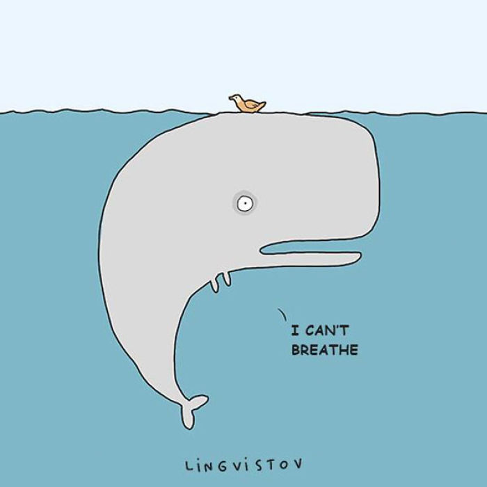 123 Fun Animal Comics By Russian Artist Duo Lingvistov 123 Fun Animal Comics By Russian Artist Duo Lingvistov