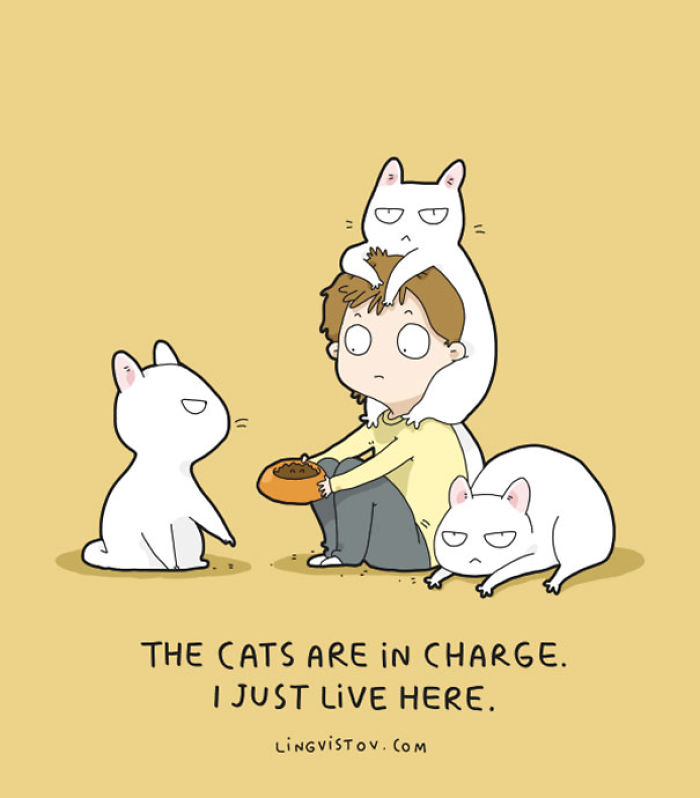 123 Fun Animal Comics By Russian Artist Duo Lingvistov 123 Fun Animal Comics By Russian Artist Duo Lingvistov