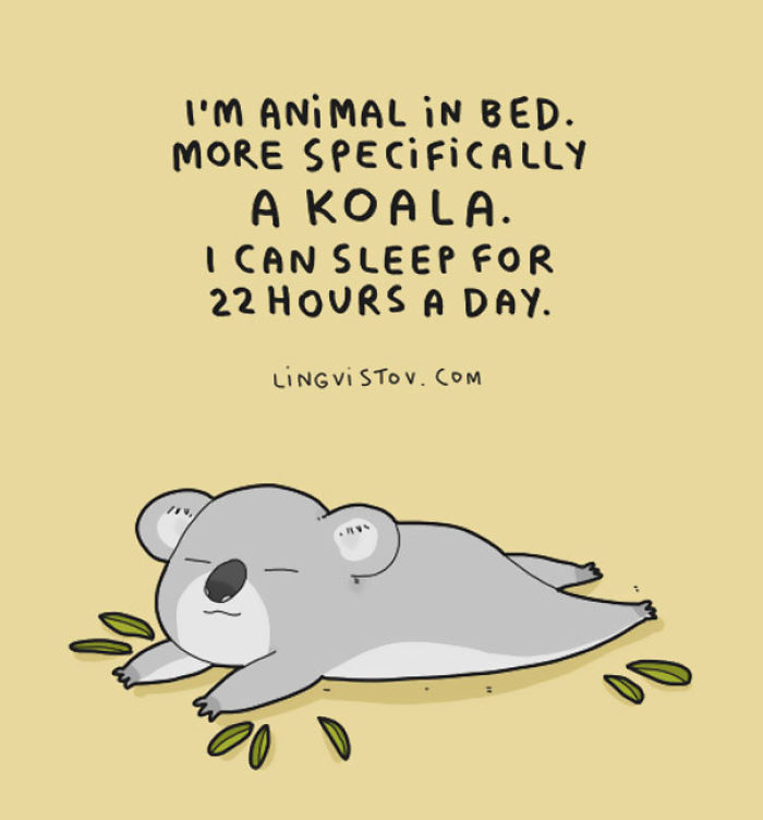 123 Fun Animal Comics By Russian Artist Duo Lingvistov 123 Fun Animal Comics By Russian Artist Duo Lingvistov