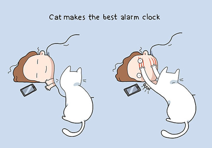 123 Fun Animal Comics By Russian Artist Duo Lingvistov 123 Fun Animal Comics By Russian Artist Duo Lingvistov