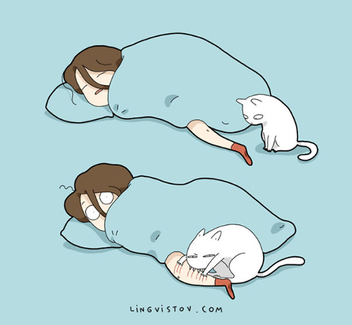 123 Fun Animal Comics By Russian Artist Duo Lingvistov 123 Fun Animal Comics By Russian Artist Duo Lingvistov