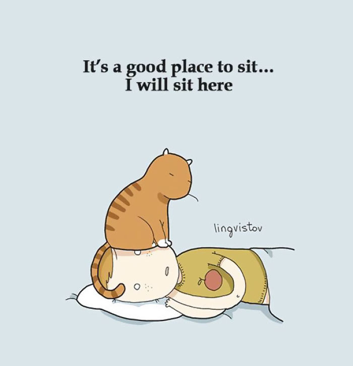 123 Fun Animal Comics By Russian Artist Duo Lingvistov 123 Fun Animal Comics By Russian Artist Duo Lingvistov