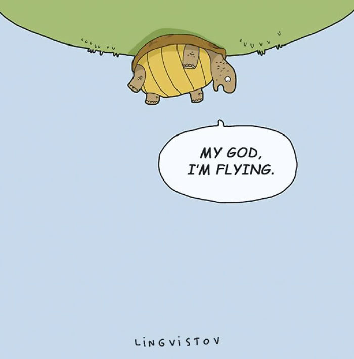 123 Fun Animal Comics By Russian Artist Duo Lingvistov 123 Fun Animal Comics By Russian Artist Duo Lingvistov