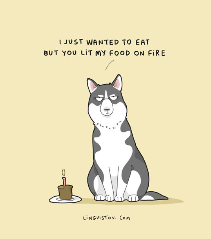 123 Fun Animal Comics By Russian Artist Duo Lingvistov 123 Fun Animal Comics By Russian Artist Duo Lingvistov