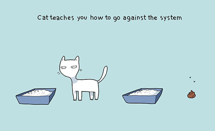 123 Fun Animal Comics By Russian Artist Duo Lingvistov 123 Fun Animal Comics By Russian Artist Duo Lingvistov