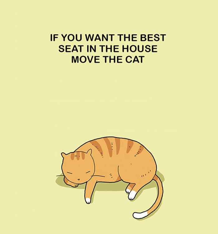 123 Fun Animal Comics By Russian Artist Duo Lingvistov 123 Fun Animal Comics By Russian Artist Duo Lingvistov