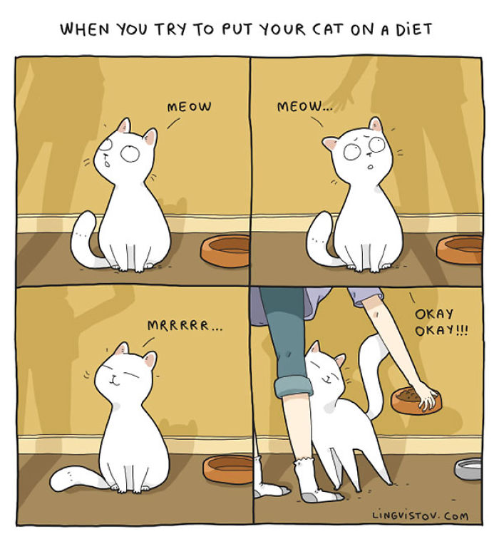 123 Fun Animal Comics By Russian Artist Duo Lingvistov 123 Fun Animal Comics By Russian Artist Duo Lingvistov