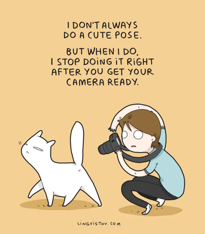 123 Fun Animal Comics By Russian Artist Duo Lingvistov 123 Fun Animal Comics By Russian Artist Duo Lingvistov