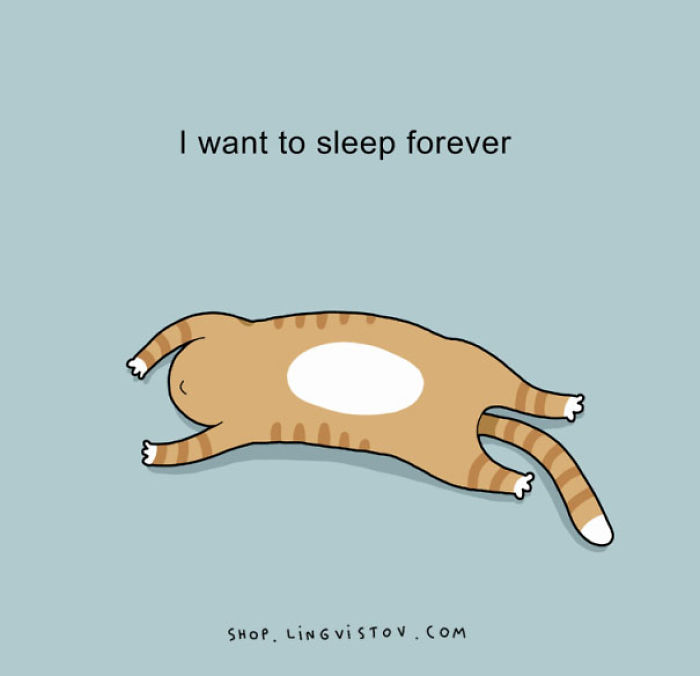 123 Fun Animal Comics By Russian Artist Duo Lingvistov 123 Fun Animal Comics By Russian Artist Duo Lingvistov