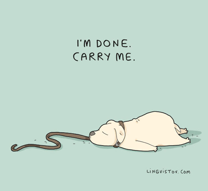 123 Fun Animal Comics By Russian Artist Duo Lingvistov 123 Fun Animal Comics By Russian Artist Duo Lingvistov