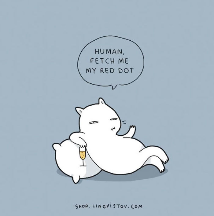 123 Fun Animal Comics By Russian Artist Duo Lingvistov 123 Fun Animal Comics By Russian Artist Duo Lingvistov