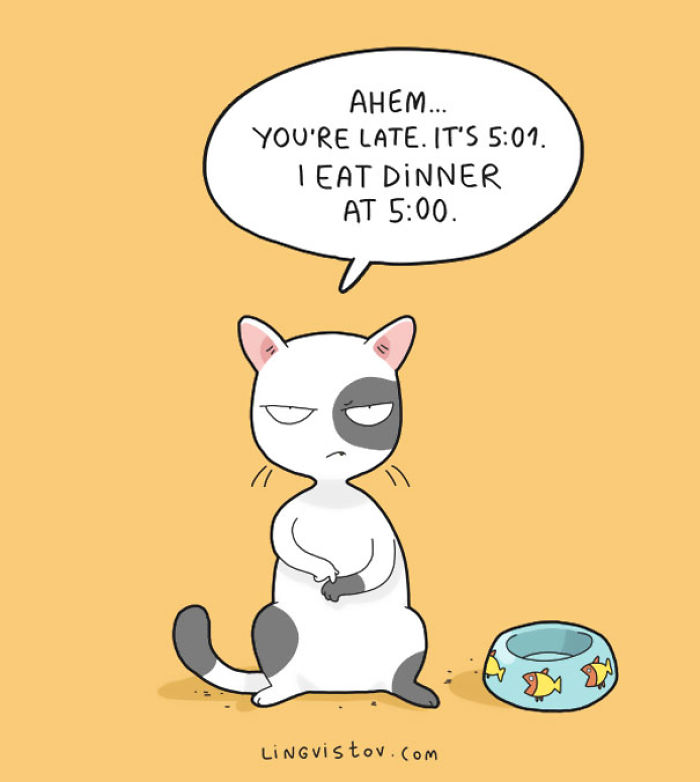 123 Fun Animal Comics By Russian Artist Duo Lingvistov 123 Fun Animal Comics By Russian Artist Duo Lingvistov